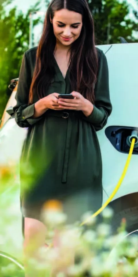 image from the regional plan