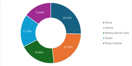 a pie chart showing the market share by fuel type